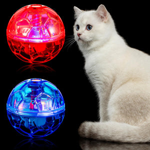 Pet Supplies